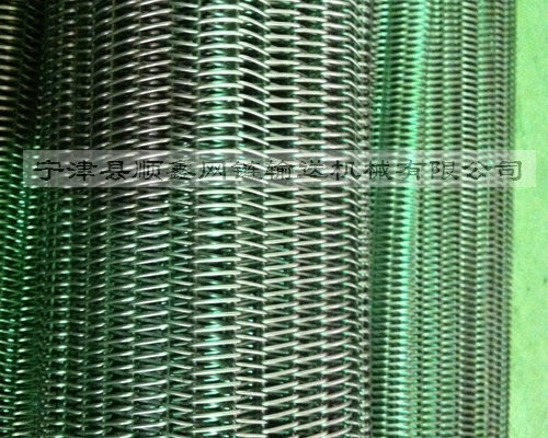 合肥高温不锈钢直轴型网带